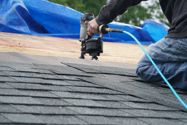 Best Roof Gutter Cleaning  in Maan, ND